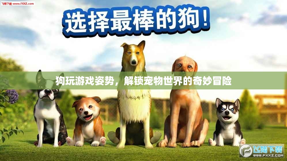 狗玩游戲姿勢，解鎖寵物世界的奇妙冒險
