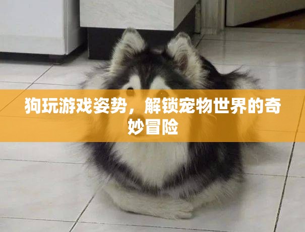 狗玩游戲姿勢，解鎖寵物世界的奇妙冒險