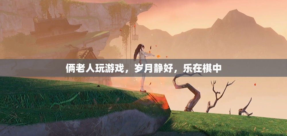 倆老人樂在棋中，歲月靜好