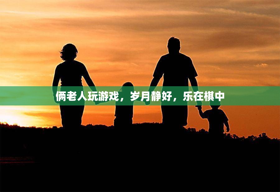 倆老人樂在棋中，歲月靜好