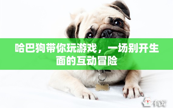哈巴狗帶你開啟互動(dòng)冒險(xiǎn)之旅