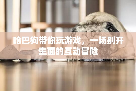 哈巴狗帶你開啟互動(dòng)冒險(xiǎn)之旅