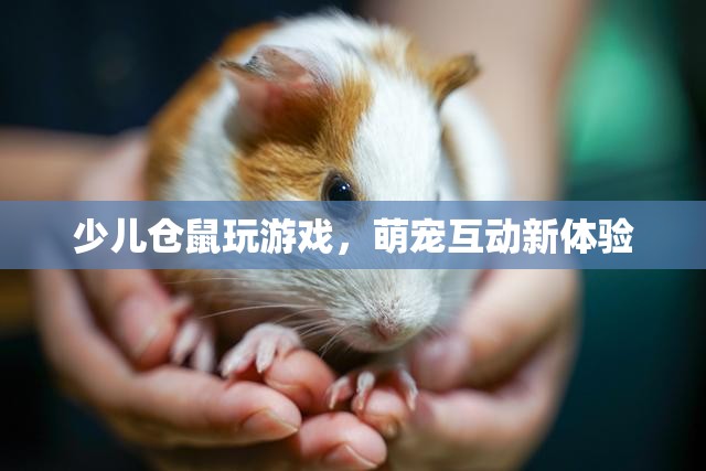 萌寵互動新體驗，少兒與倉鼠玩游戲