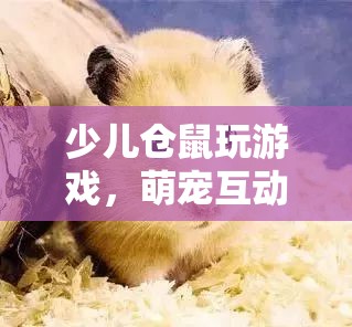 萌寵互動新體驗，少兒與倉鼠玩游戲