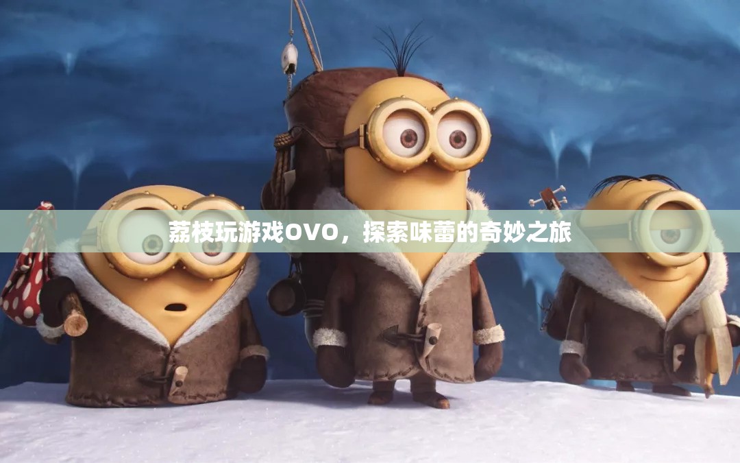 探索味蕾的奇妙之旅，荔枝玩游戲OVO