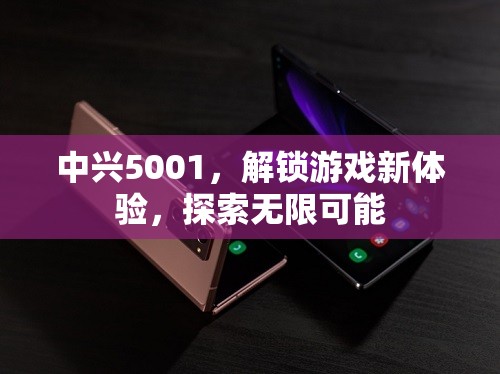 中興5001，解鎖游戲新體驗，探索無限可能