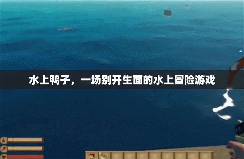 水上鴨子，一場(chǎng)別開生面的水上冒險(xiǎn)