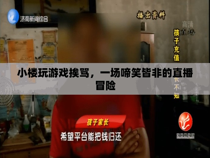小樓直播游戲遭罵，啼笑皆非冒險記