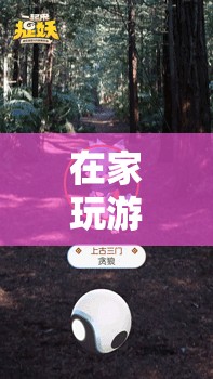 在家玩游戲30，探索虛擬世界的無(wú)限樂(lè)趣