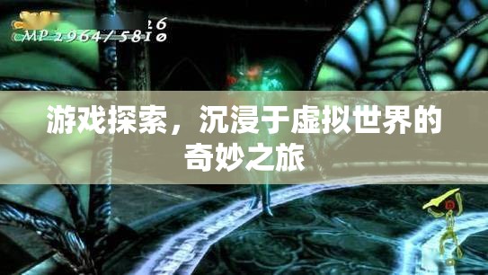 虛擬世界的奇妙探索之旅
