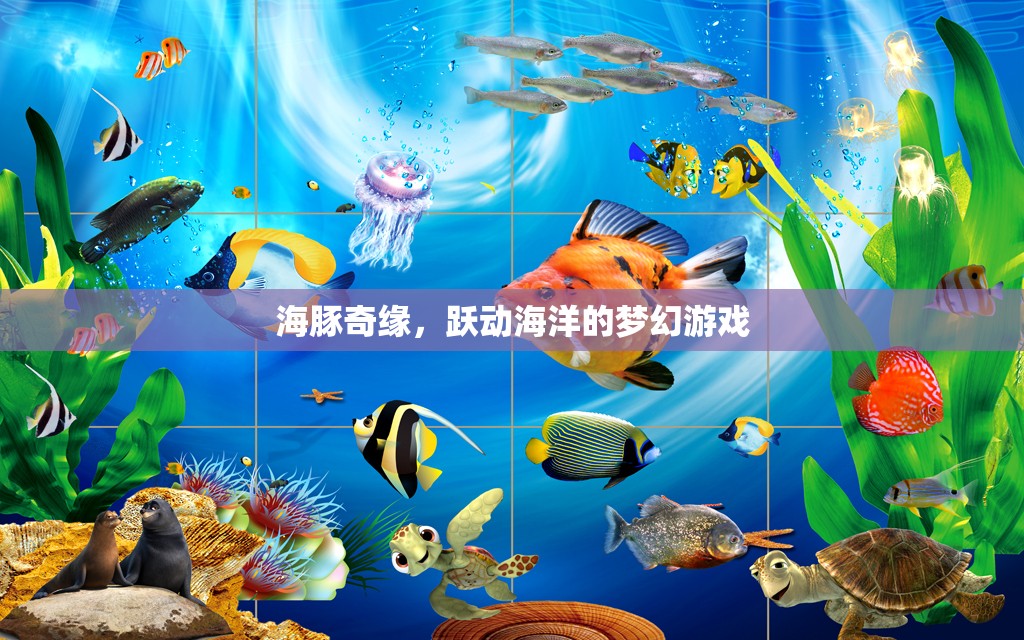 海豚奇緣，躍動海洋的夢幻冒險(xiǎn)