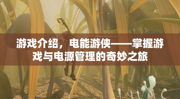 電能游俠,掌握游戲與電源管理的奇妙之旅 第2張 電能游俠,掌握游戲與電源管理的奇妙之旅 第2張