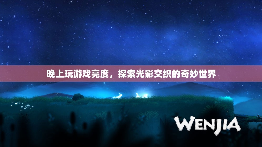 探索光影交織的奇妙世界，晚上玩游戲亮度  第3張