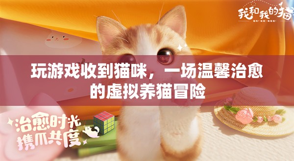 虛擬養(yǎng)貓冒險(xiǎn)，在游戲中收獲溫馨治愈的貓咪陪伴