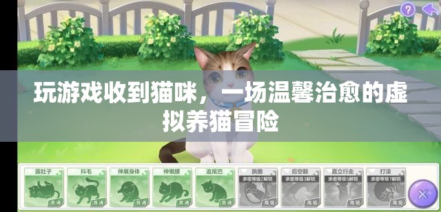 虛擬養(yǎng)貓冒險(xiǎn)，在游戲中收獲溫馨治愈的貓咪陪伴