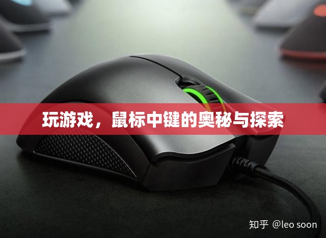 鼠標中鍵，游戲探索的奧秘與技巧