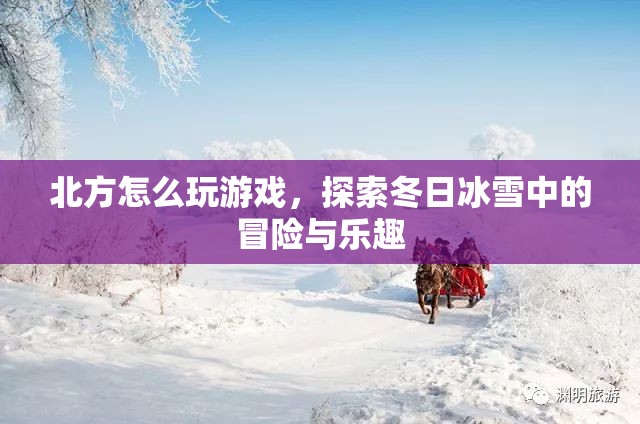 冬日冰雪冒險，北方游戲探索之旅  第3張
