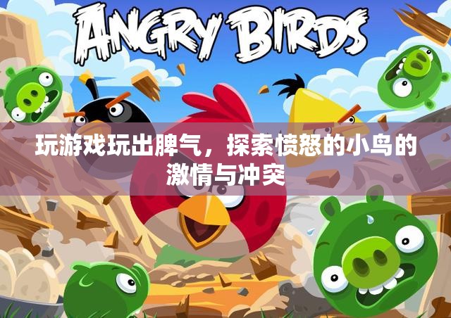 憤怒的小鳥，游戲背后的激情與沖突