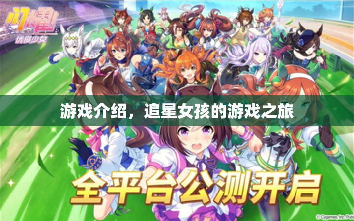 追星女孩的游戲之旅，探索虛擬世界的娛樂(lè)盛宴