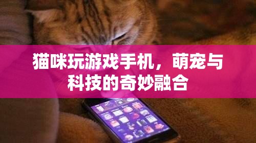 貓咪玩轉(zhuǎn)手機游戲，萌寵與科技的溫馨互動