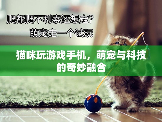 貓咪玩轉(zhuǎn)手機游戲，萌寵與科技的溫馨互動