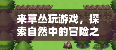 草叢中的冒險(xiǎn)之旅，探索自然中的游戲與驚喜