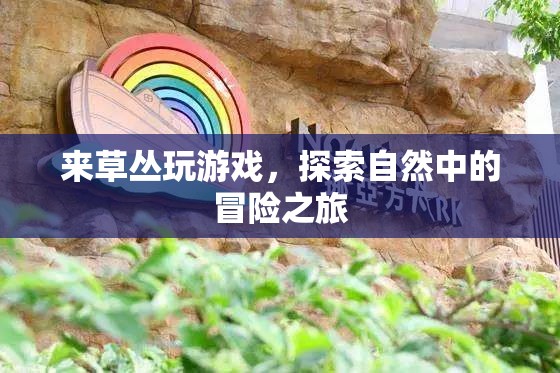 草叢中的冒險(xiǎn)之旅，探索自然中的游戲與驚喜