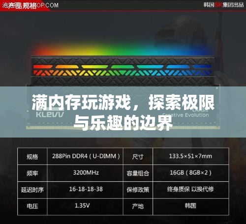 探索游戲樂(lè)趣的邊界，滿內(nèi)存挑戰(zhàn)游戲體驗(yàn)