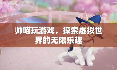 探索虛擬世界的無(wú)限樂(lè)趣，帥喵的游戲之旅