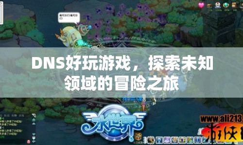 探索未知領(lǐng)域的冒險(xiǎn)之旅，玩轉(zhuǎn)DNS游戲