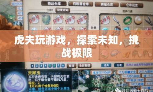 虎夫挑戰(zhàn)游戲極限，探索未知領域