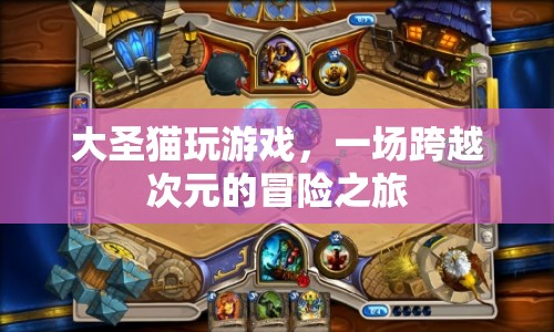 大圣貓跨越次元的冒險之旅