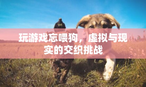 玩游戲忘喂狗，虛擬與現(xiàn)實交織的挑戰(zhàn)