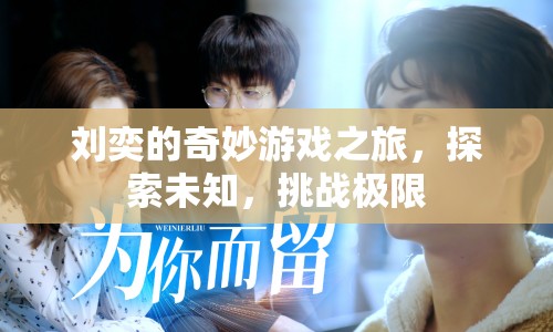 劉奕的奇妙冒險(xiǎn)，探索未知，挑戰(zhàn)極限