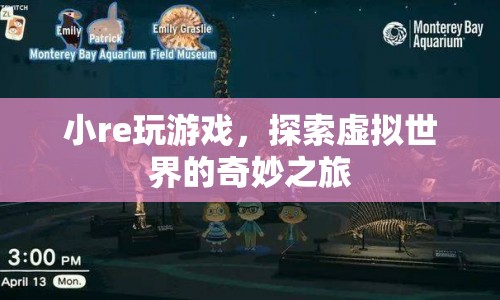 小re的虛擬世界探險(xiǎn)之旅
