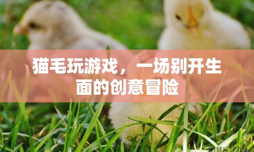 貓毛創(chuàng)意游戲，一場別開生面的冒險之旅
