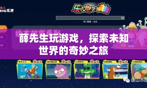薛先生，探索未知世界的奇妙游戲之旅  第1張