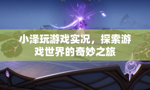 小澤游戲探索之旅，暢游奇妙的游戲世界