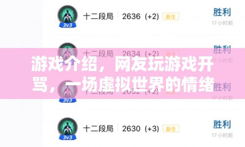 虛擬世界情緒狂歡，網(wǎng)友玩游戲開罵  第1張