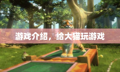 大貓的游戲世界，探索未知，挑戰(zhàn)自我