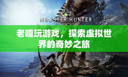 老嘎探索虛擬世界的奇妙之旅