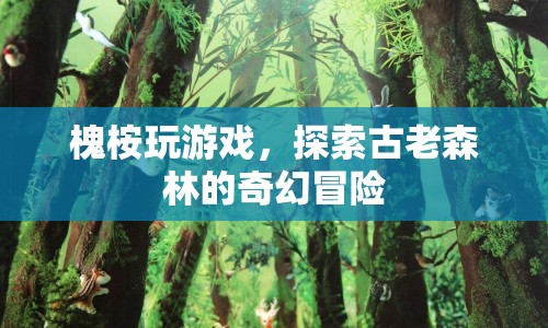 探索古老森林，槐桉的奇幻冒險之旅
