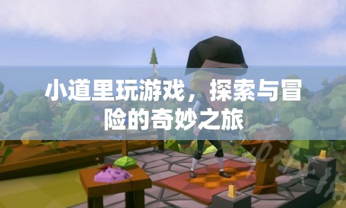 探索與冒險的奇妙之旅，小道里玩游戲