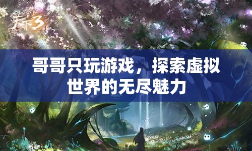 哥哥沉迷虛擬世界，探索游戲的無窮魅力