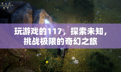 探索未知，挑戰(zhàn)極限，117的奇幻游戲之旅