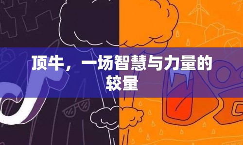 頂牛，智慧與力量的巔峰對(duì)決