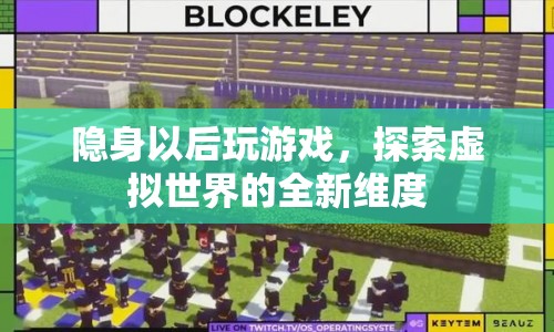 隱身玩游戲，探索虛擬世界的全新維度