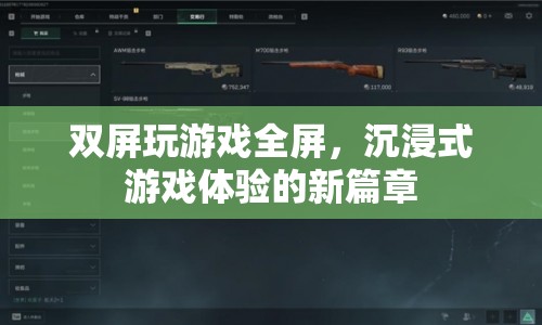 雙屏玩游戲全屏，開啟沉浸式游戲體驗新篇章