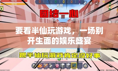 半仙游戲盛宴，娛樂(lè)與驚喜的碰撞