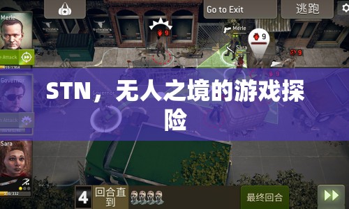 STN，無人之境的游戲探險之旅
